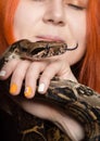 Sexy redhead woman holding snake. close-up photo girl with pygmy python on a white background Royalty Free Stock Photo