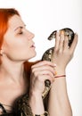 Sexy redhead woman holding snake. close-up photo girl with pygmy python on a white background Royalty Free Stock Photo
