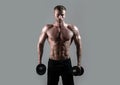 Sexy sporty torso, man with dumbbells. Muscular man working out in studio doing exercises, strong male naked torso abs.