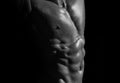 Sexy strong bare torso with abs and muscular male chest on black. Royalty Free Stock Photo