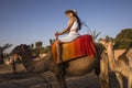 Sexy tourist on a dromedary or camel in the desert of the palm grove of Marrakech in Morocco Royalty Free Stock Photo