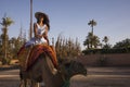 Sexy tourist with hat on a camel or dromedary in the desert of the palm grove of Marrakech in Morocco Royalty Free Stock Photo