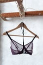 transparent bra on hanger. Fashionable female lacy underwear. Lingerie, women underwear.