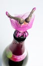 wine bottle stopper Royalty Free Stock Photo