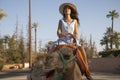Sexy woman on a dromedary or camel with a hat in the desert of the palm grove of Marrakech in Morocco Royalty Free Stock Photo