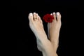 Attractive feet of woman, classic ideal beauty with `Greek foot` toe, white nail lacquer, fresh red rose barefoot black background