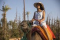 Sexy woman with a hat on a dromedary or camel in the desert of the palm grove of Marrakech in Morocco Royalty Free Stock Photo