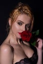 Sexy woman with red rose. Fashion portrait of young beautiful lady with flowers. Portrait of elegant beautiful woman Royalty Free Stock Photo