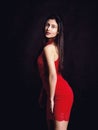 Sexy woman wearing red lace dress . Portrait shoot in the studio Royalty Free Stock Photo