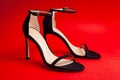 Sexy women black sandals with high-heeled stilettos on a red background.