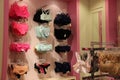 Women Lingerie Underwear Store