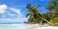 Seychelles Anse Georgette beach Praslin island palm panoramic view vacation sea Royalty Free Stock Photo