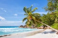 Seychelles Anse Georgette beach Praslin island palm vacation paradise ocean sea Royalty Free Stock Photo