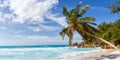 Seychelles Anse Georgette beach travel landscape Praslin island palm panoramic view vacation sea Royalty Free Stock Photo