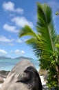 Seychelles anse source d`argent palm and rock