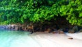 Seychelles Beach White Sand along the road