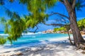 Seychelles dream beach Royalty Free Stock Photo