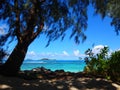 Seychelles, Praslin Island, Grand Anse beach, view of the Cousin Cousine Islands Royalty Free Stock Photo