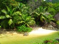 Seychelles, island of Mahe, Port Launay Marine Park, Anse Souillac beach