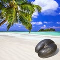 Seychelles islands Royalty Free Stock Photo