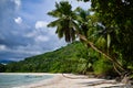 Seychelles Mahe Island - Baie Lazare beach, palm trees. Royalty Free Stock Photo