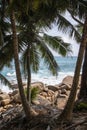 Seychelles - The Petit Police bay Royalty Free Stock Photo