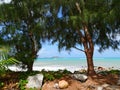 Seychelles - Praslin Island - Anse Kerlan Beach Royalty Free Stock Photo