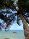 Seychelles - Praslin Island - Anse Kerlan Beach Royalty Free Stock Photo