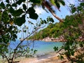 Seychelles, Praslin Island, the forest of the Valley de Mai