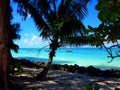 Seychelles, Praslin Island, Grand Anse beach Royalty Free Stock Photo