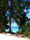 Seychelles,  Praslin Island, Grand Anse beach Royalty Free Stock Photo