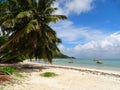 Seychelles, Praslin Island, Grand Anse Royalty Free Stock Photo