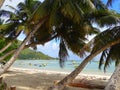 Seychelles, Praslin Island, Grand Anse Royalty Free Stock Photo