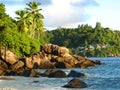 Seychelles seaside with palm trees Royalty Free Stock Photo