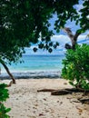 Seychelles Silhouette Island beach