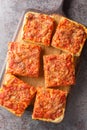 Sfincione Siciliano is a Sicilian style pizza topped with crispy bread crumbs, grated cheese and oregano closeup on the wooden Royalty Free Stock Photo