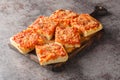 Sfincione typical oven-baked focaccia very soft and seasoned with tomato, onion, anchovies, cheese, oregano and bread crumbs Royalty Free Stock Photo