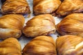 Sfogliatelle, sweet traditional Naples, Campania, Italy. Royalty Free Stock Photo