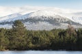 Sgor Gaoithe mountain at Glen Feshie in the Cairngorms National Park of Scotland. Royalty Free Stock Photo