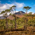 Sgurr na Lapaich in Glen Affric, Scotland Royalty Free Stock Photo