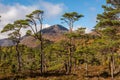 Sgurr na Lapaich in Glen Affric Royalty Free Stock Photo