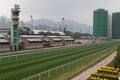 Sha Tin Racecourse, Hong Kong Royalty Free Stock Photo