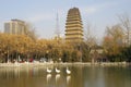 Shaanxi xi `an small wild goose pagoda