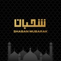 Shaban Mubarak