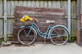 Shabby blue vintage bike on barnwood background Royalty Free Stock Photo