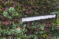 Shabby board with street name in foliage