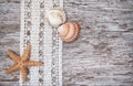 Shabby chic background with seashells and lace on the old wood Royalty Free Stock Photo