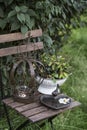 Shabby Chic Garden Still Life Royalty Free Stock Photo