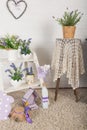 Shabby chic interior decor for farmhouse. Lavende,plant and vintage table,shelf over pastel wall. Provence home