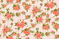 Shabby chic rose background Royalty Free Stock Photo